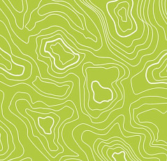 Линолеум Forbo Sarlon Graphic 15dB 928T4315 lime topography фото 1 | FLOORDEALER